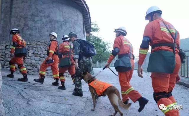 九寨沟地震救援进展喜人，生命之光温暖照亮灾区