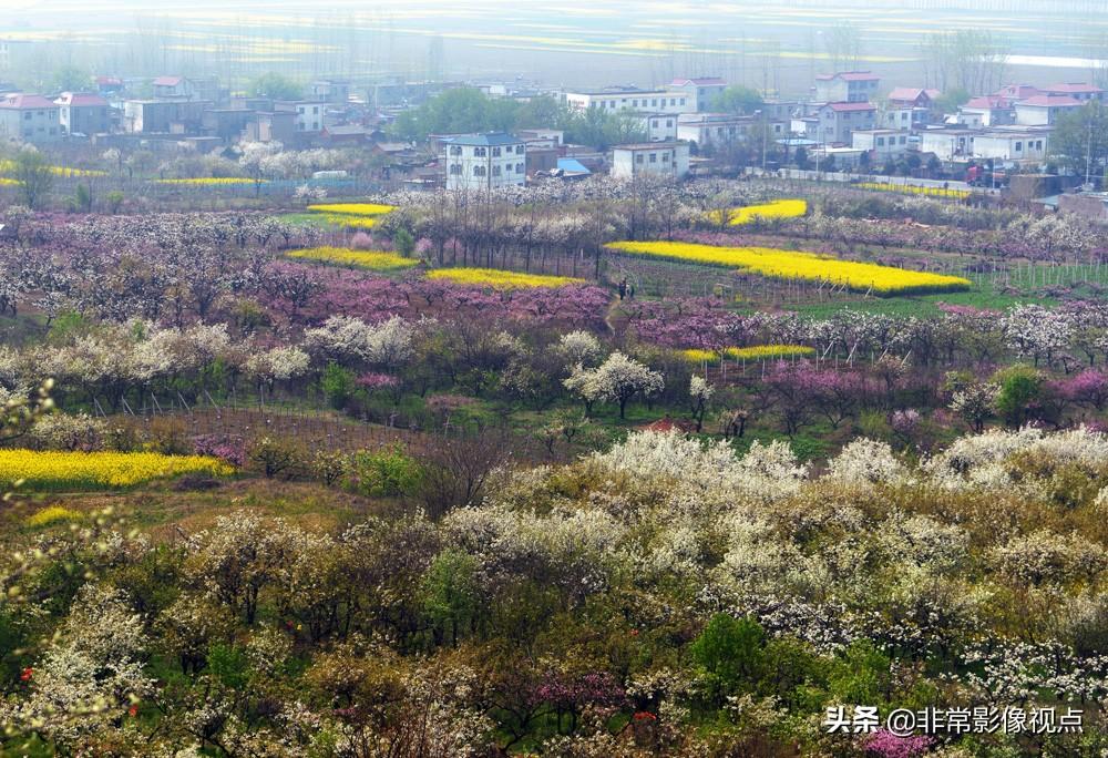 寿县房产市场喜讯连连，房价走势看涨，美好前景展望