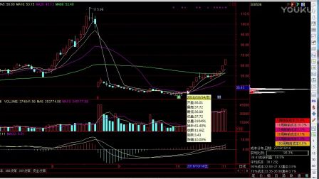 最新动态：海航基础股价走势解析及行业资讯一览