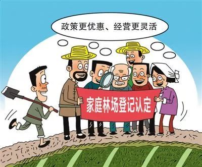 龙泉绿色家园生态移民补偿政策最新解读