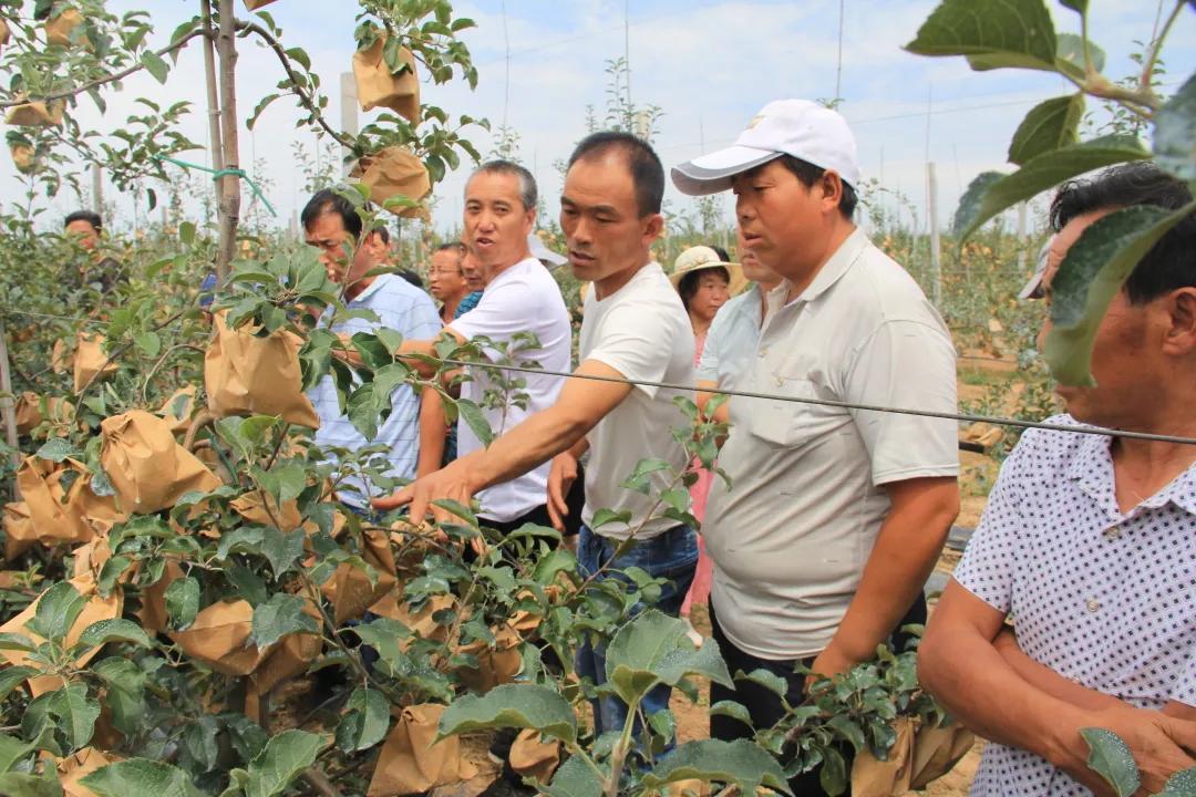 洛川动态资讯：最新热点新闻速递