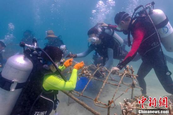 海南海域实时天气预警：最新海洋气象预报全景速递