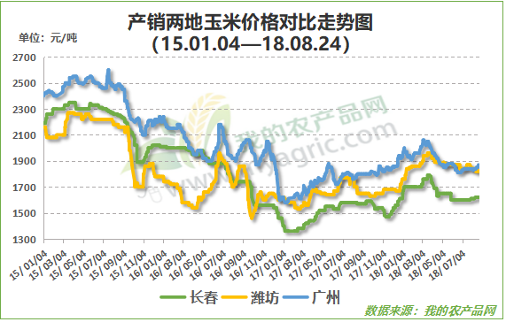 最新发布：西王集团玉米市场行情解析