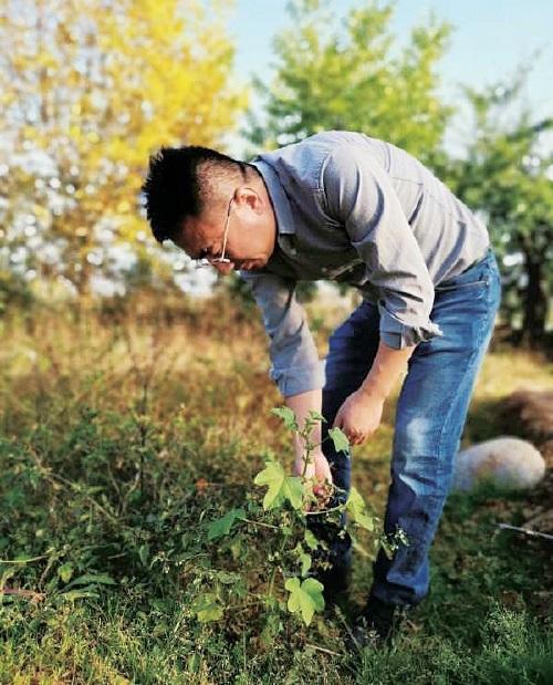 青海民和县最新人才招聘信息汇总