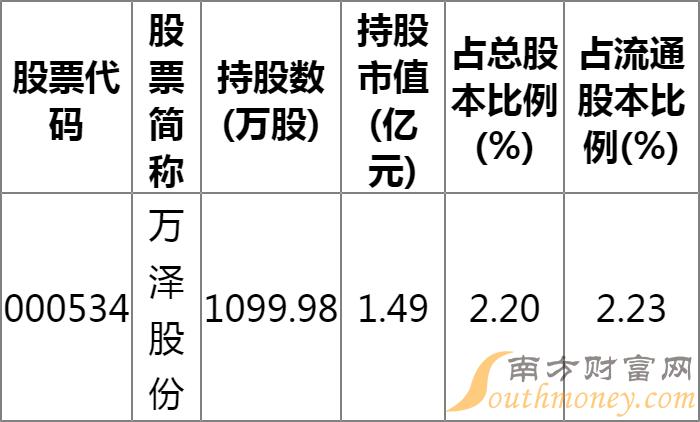 揭秘泽熙投资最新力捧的股票组合：重仓股动向全解析