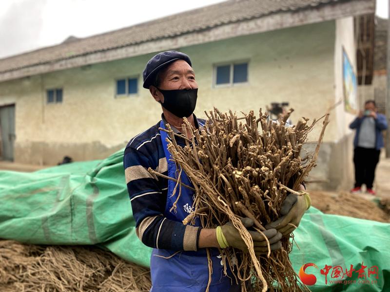 云南良方制药最新动态揭晓：揭秘制药巨头的新进展与突破