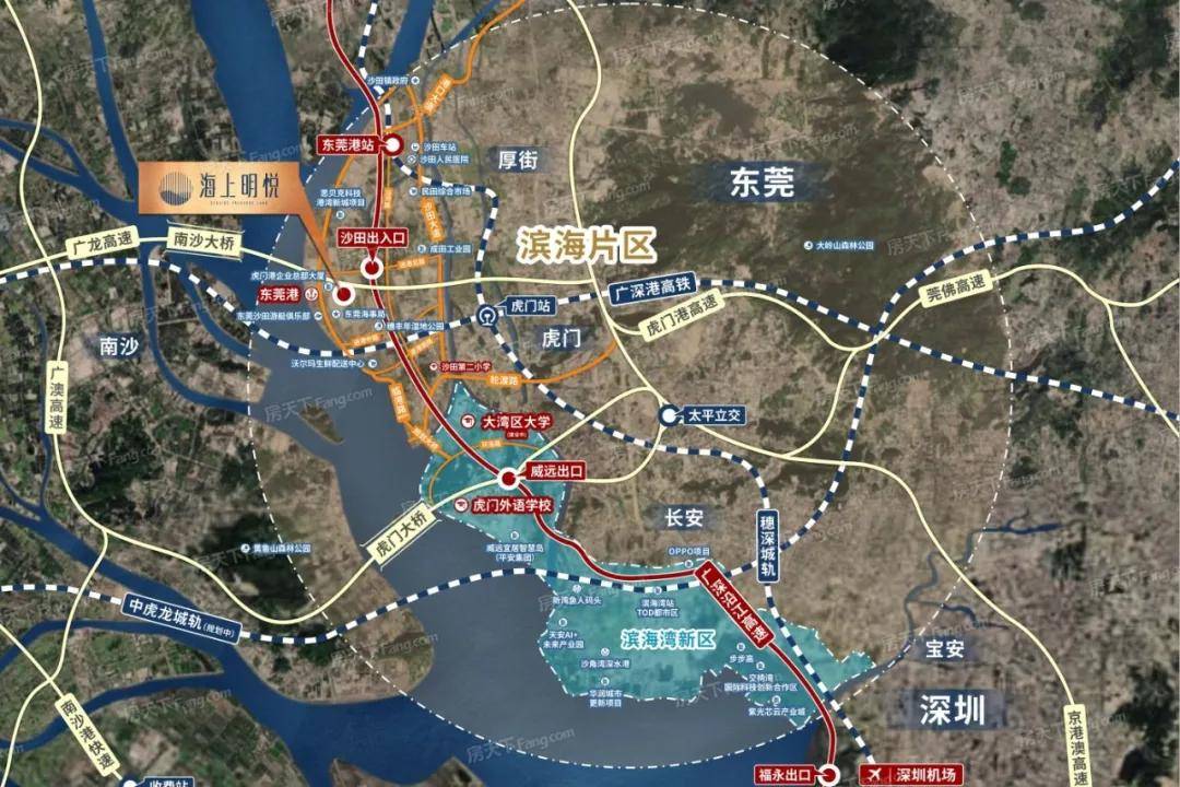 东莞市沿海高速公路实时动态与最新进展解析