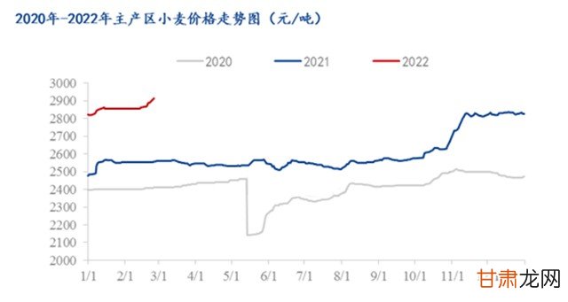 2025年最新安徽小麦市场行情一览