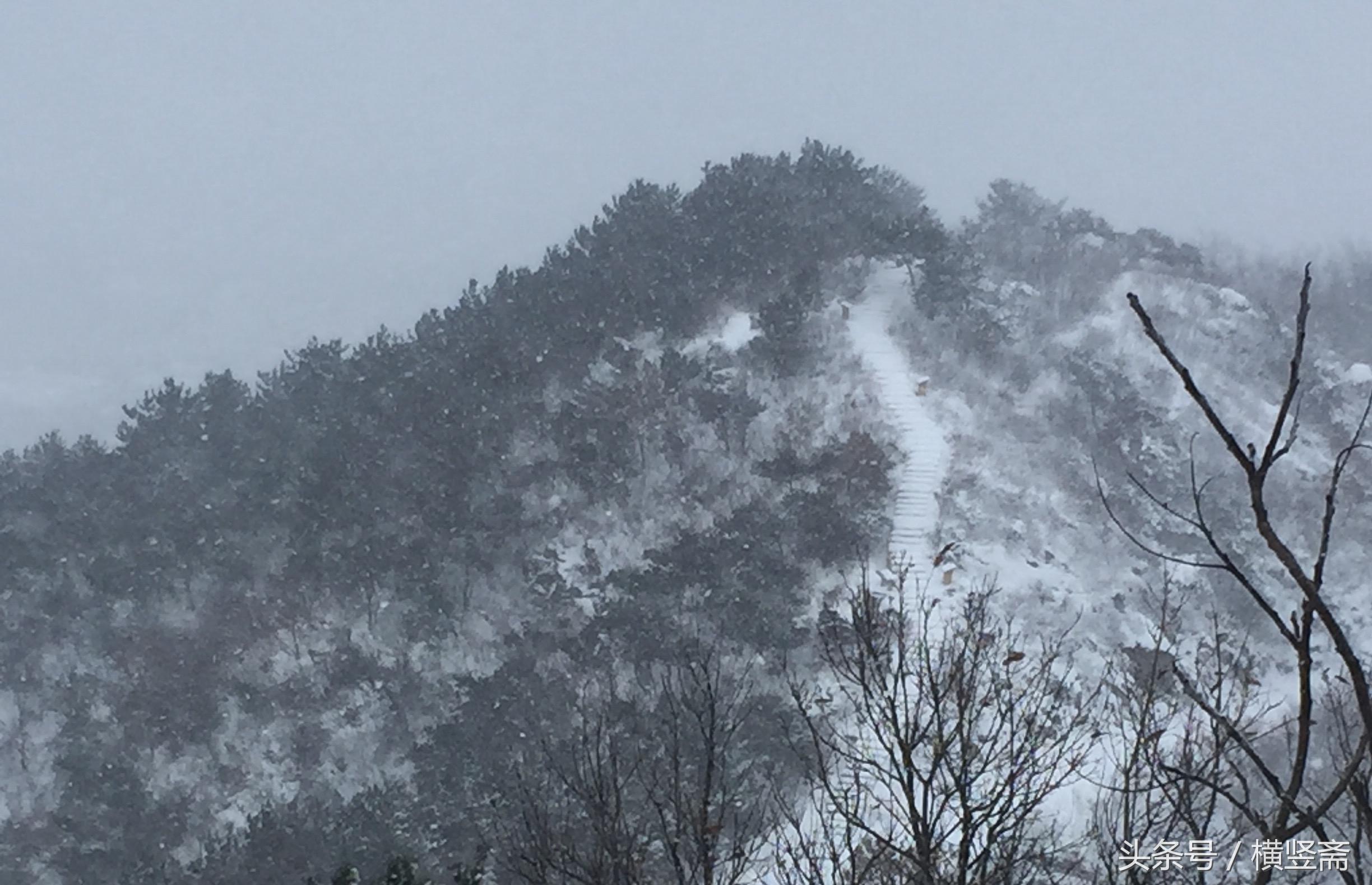 探寻《问道》全新神秘法宝，解锁修仙之旅新篇章